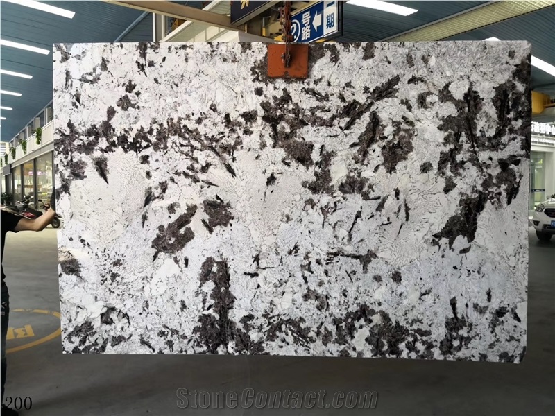 Silver Fox Granite Bianco Antico Aran White Slab