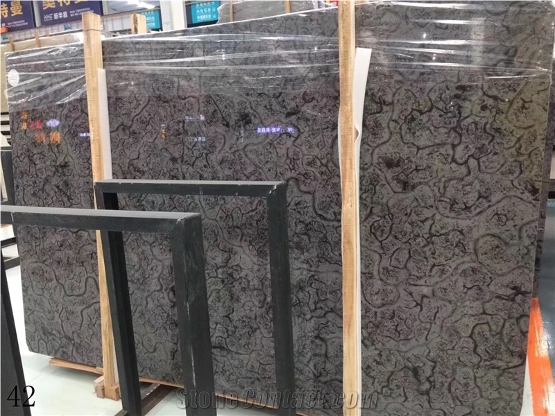 Three Gorges Oracle Turtle Venato Black Marble