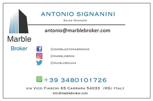 Calacatta Borghini Carrara Marble