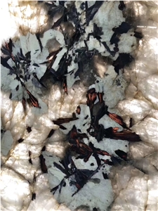 Brazil Butterfly Love Golden Flower Granite Slabs