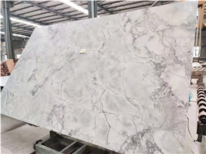 Brazil Calacatta Super White Quartzite