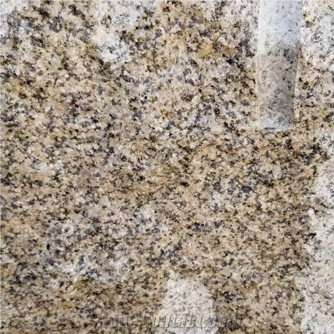Giallo Stone Slabs Golden Leaf Granite for Floor