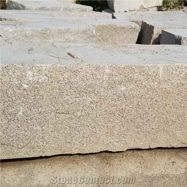 Giallo Stone Slabs Golden Leaf Granite for Floor