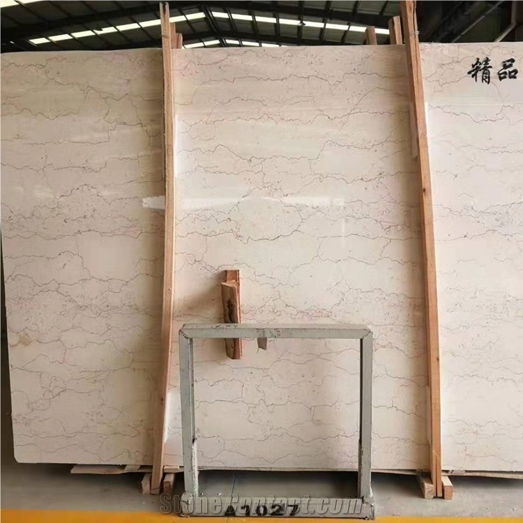 Polished Shell Crema Stone Agave Beige Marble