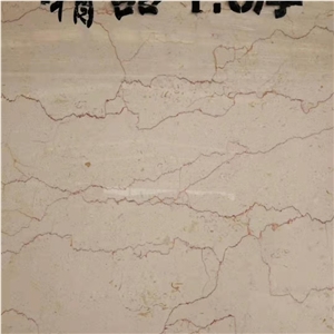 Polished Shell Crema Stone Agave Beige Marble