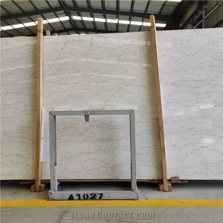 Polished Shell Crema Stone Agave Beige Marble