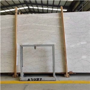 Polished Shell Crema Stone Agave Beige Marble