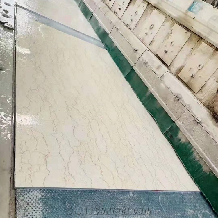 Polished Shell Crema Stone Agave Beige Marble