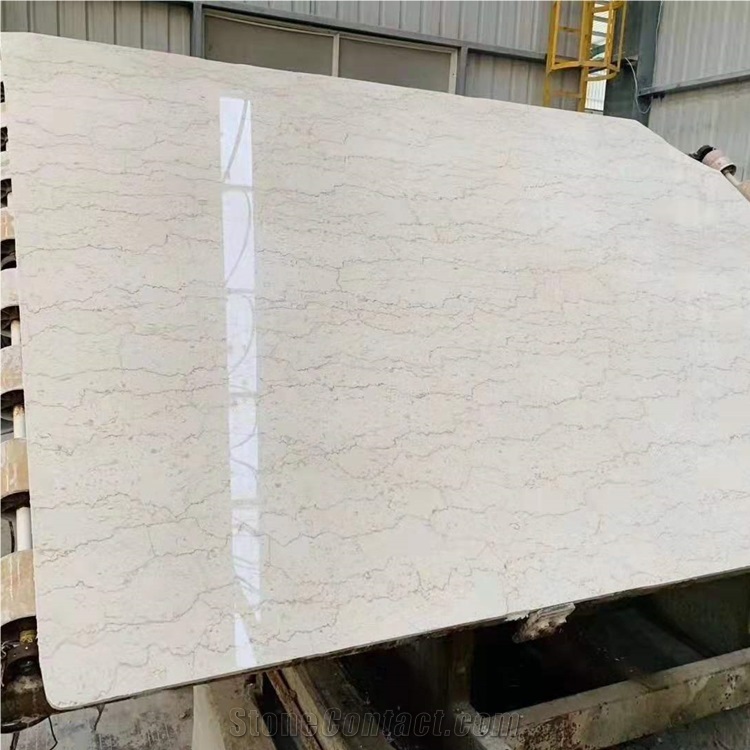 Polished Shell Crema Stone Agave Beige Marble