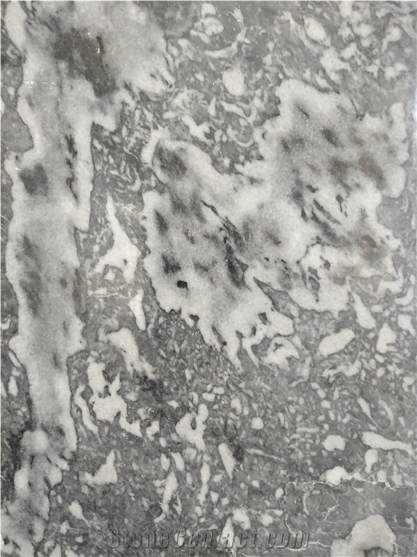 Zebra Grey Marble for Floor