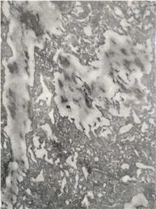 Zebra Grey Marble for Floor