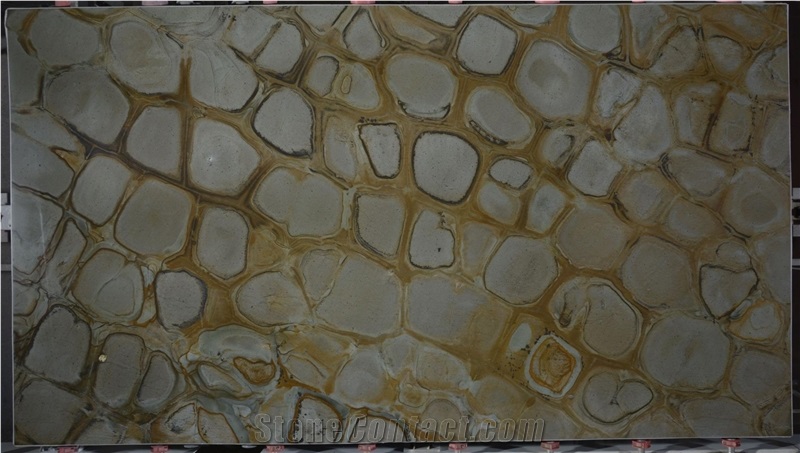 Brazilian Fossil Quartzite Slabs