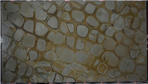 Brazilian Fossil Quartzite Slabs Brazilian Fossil Quartzite Slabs