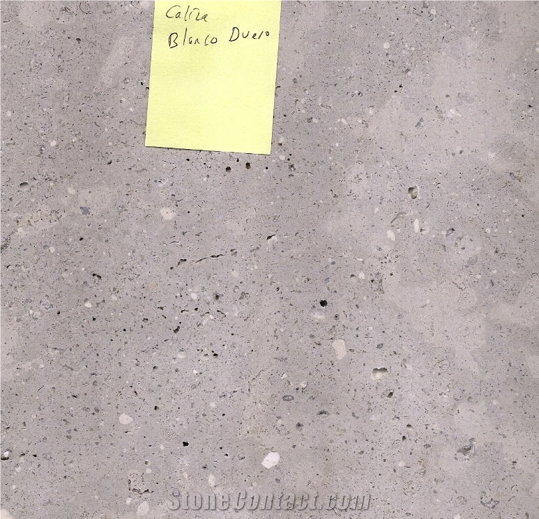Caliza Blanco Duero Honed Slabs, Tiles