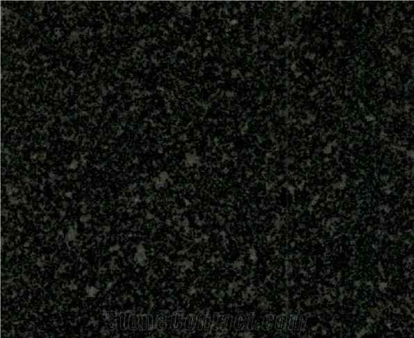 Paksistan Absolute Black Granite
