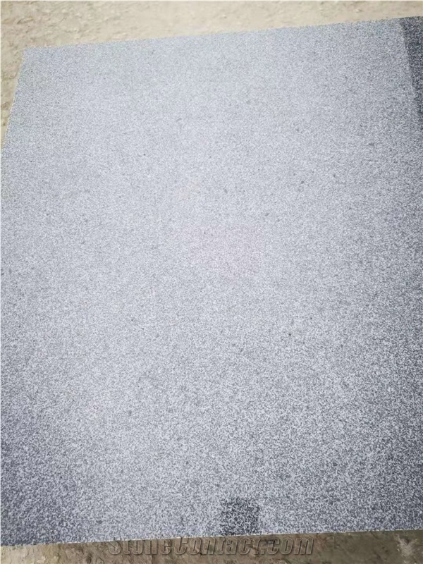 New G654 Granite, Flamed Pool Coping,Pandong Dark