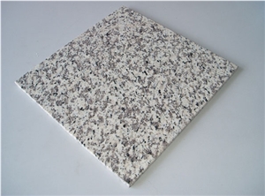 Good Price Tiger Skin White Granite Tile for Sale