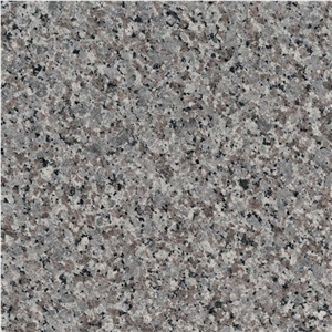 Swan Grey Granite Slab Swan Grey Granite Tile