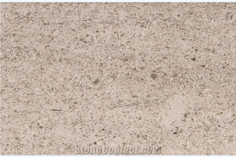 Moca Medium Grain Limestone Tiles, Slabs