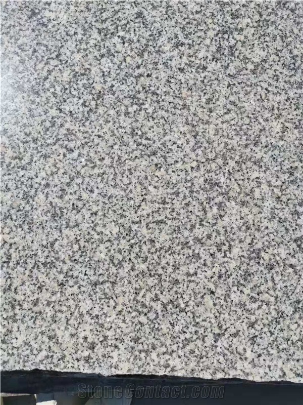 New,G623,Sesame White,Silver Gray Granite,Haicang
