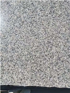 New,G623,Sesame White,Silver Gray Granite,Haicang