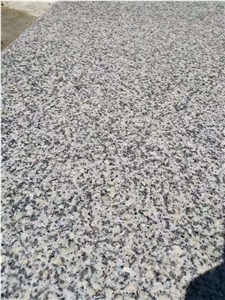 New,G623,Sesame White,Silver Gray Granite,Haicang