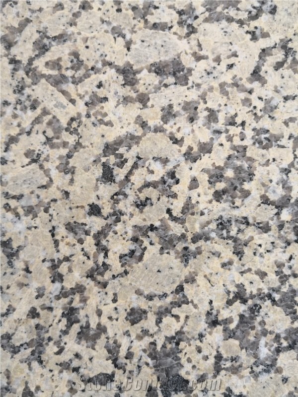 Chrysanthemum Yellow Granite