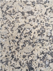 Chrysanthemum Yellow Granite