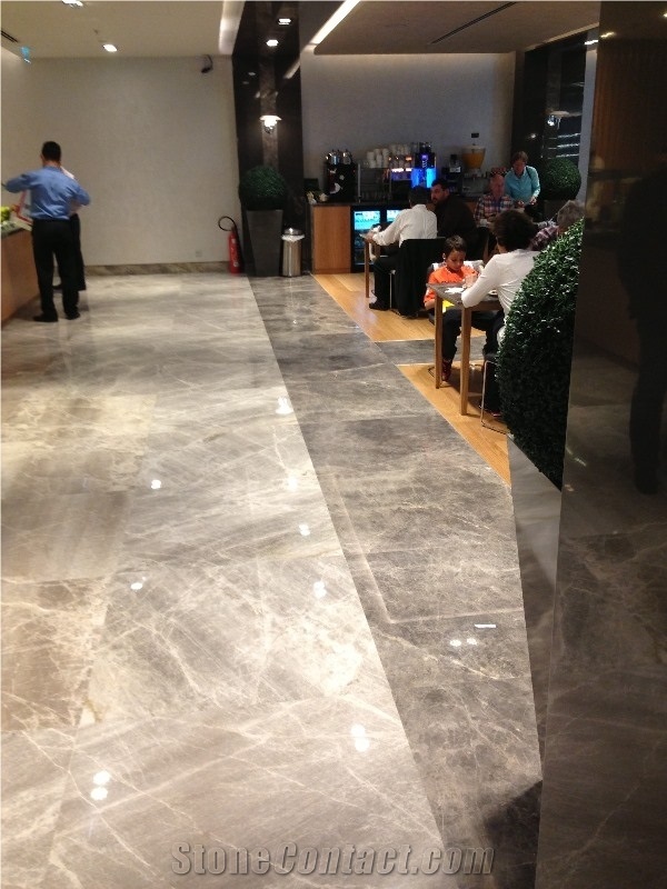 Splendor Grey Marble Slabs, Tiles
