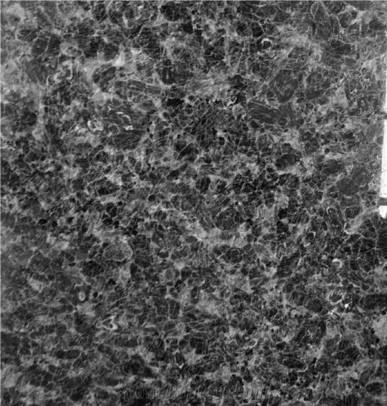 Pacific Blue Granite Tile,Blue Granite Slab