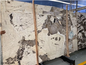 Amarillo Elo Baghdad Yellow Beige Marble Slab Wall