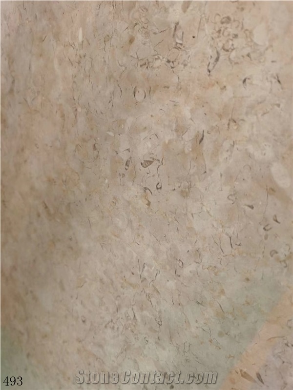 Catrina Grey Marble Chatreena Katrina Gray Catreen