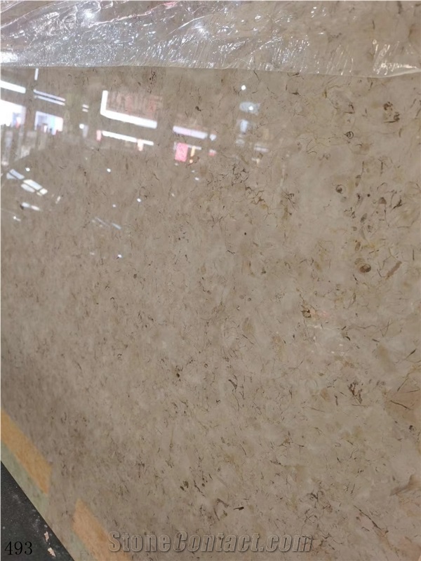 Catrina Grey Marble Chatreena Katrina Gray Catreen