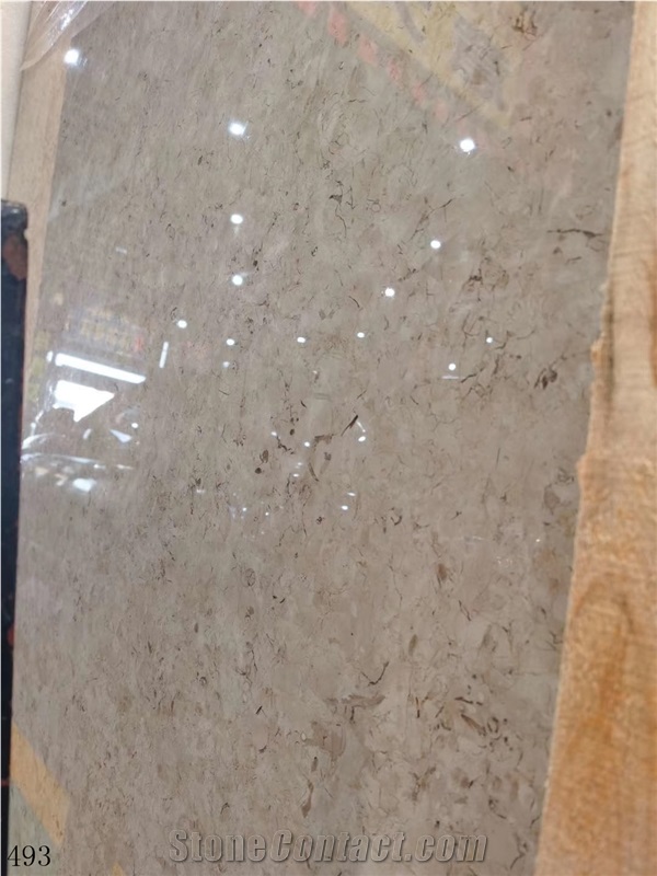 Catrina Grey Marble Chatreena Katrina Gray Catreen
