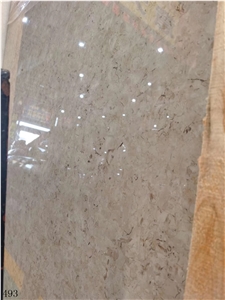 Catrina Grey Marble Chatreena Katrina Gray Catreen