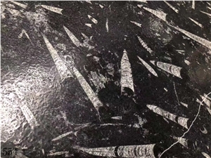 Deep Sea Marble Fossil Black Seashell Flower Slab