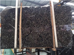 Deep Sea Marble Fossil Black Seashell Flower Slab