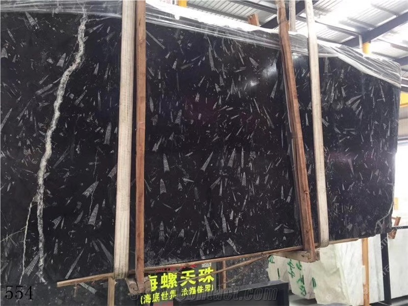 Deep Sea Marble Fossil Black Seashell Flower Slab