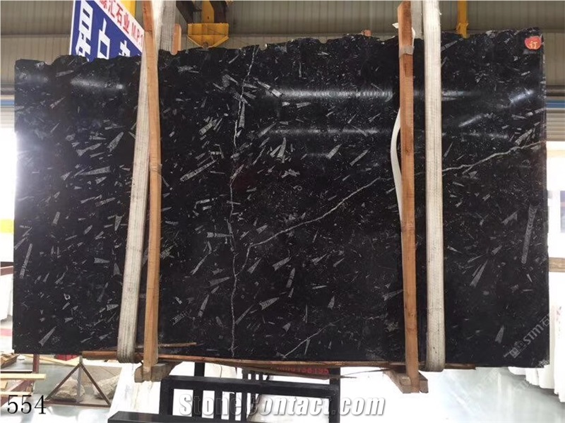 Deep Sea Marble Fossil Black Seashell Flower Slab