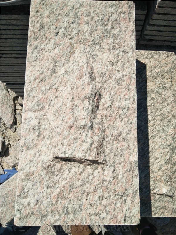 Granite Versicolor Mushroom Stone Multicolor Stone
