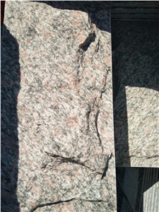 Granite Versicolor Mushroom Stone Multicolor Stone