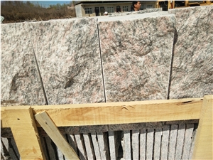 Granite Versicolor Mushroom Stone Multicolor Stone