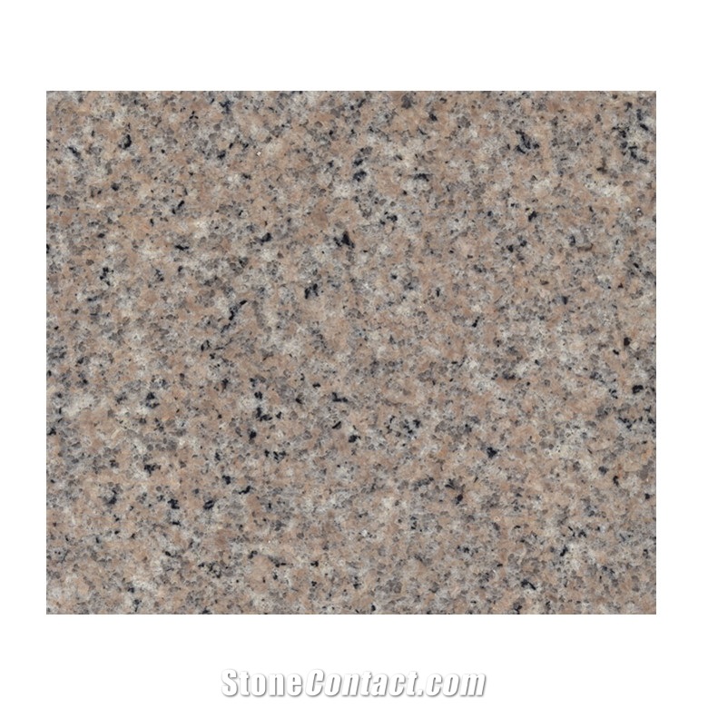 China Shrimp Red G681 Granite Flooring Tiles