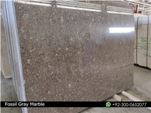 Fossil Gray Marble Slabs