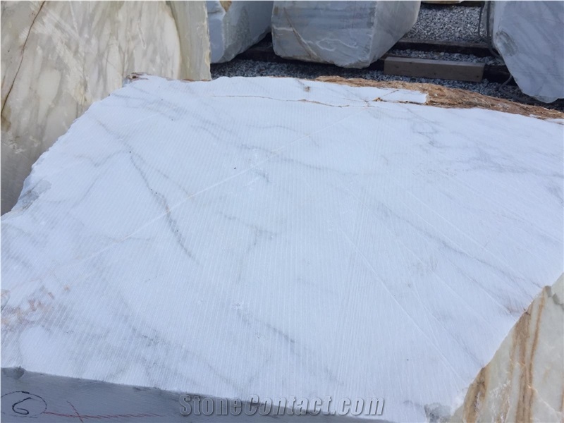 Calacatta Gold Borghini Blocks in Stock