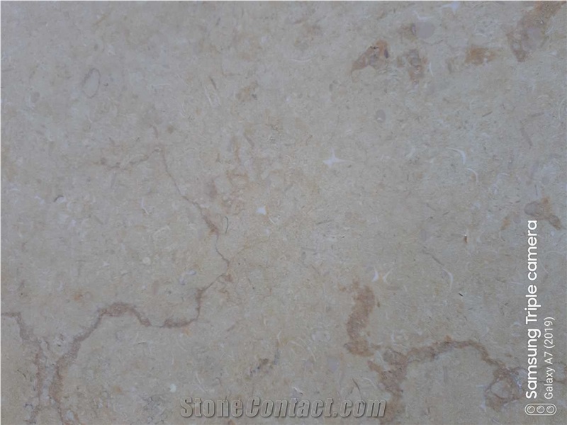 New Sunny Beige Marble Slabs & Tiles