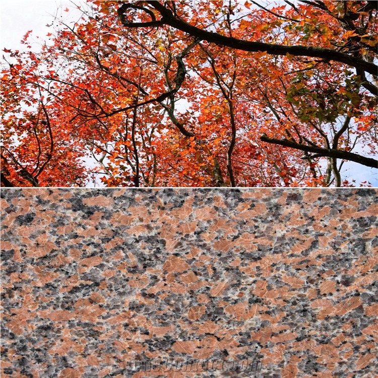 Charme Red G562 Granite Polished Tiles