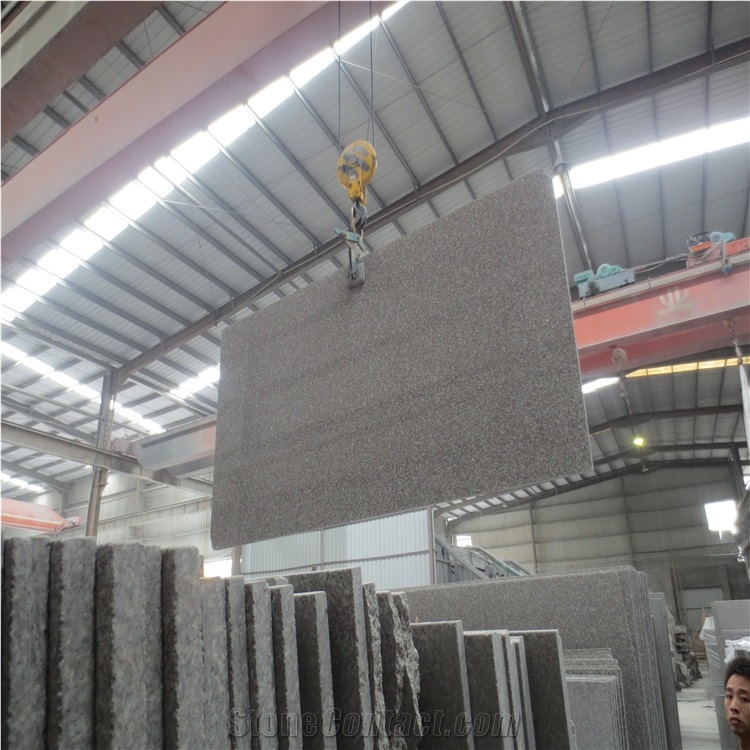 China Luo Yuan Violet Red,Sunset Pink G664 Slab