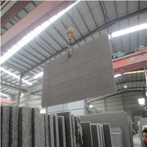 China Luo Yuan Violet Red,Sunset Pink G664 Slab
