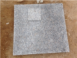 China Pearl Flower G383 Polished Tiles